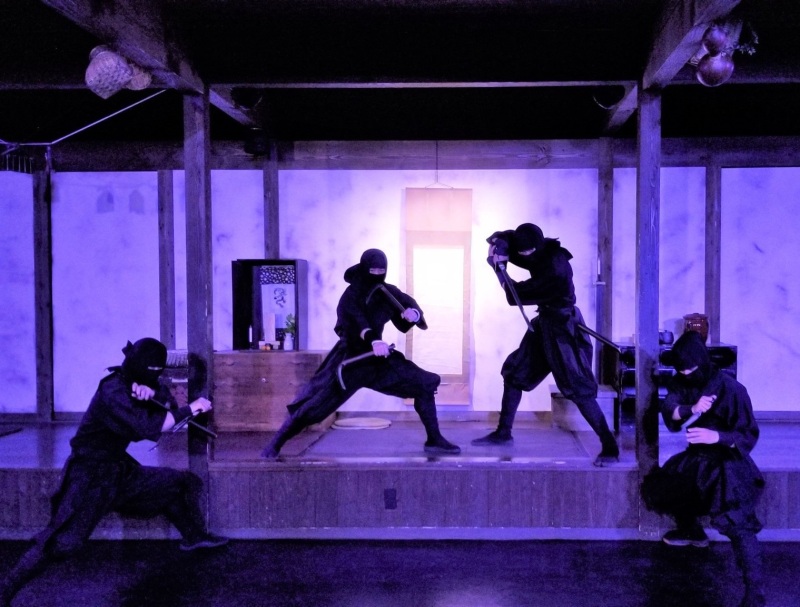 Ninja show (3)