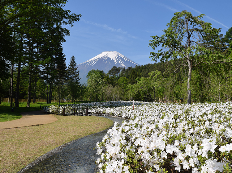 日本庭園